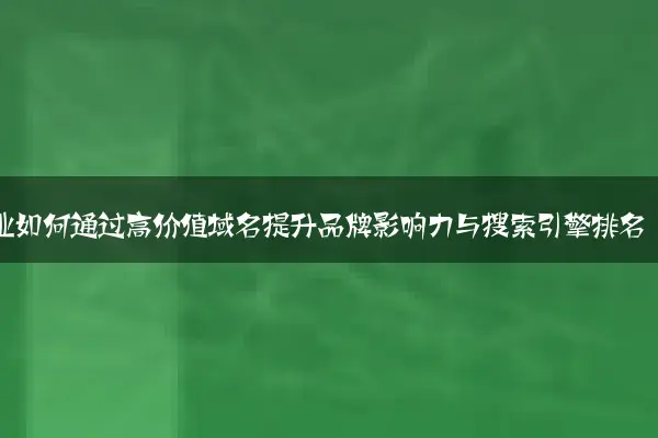企业如何通过高价值域名提升品牌影响力与搜索引擎排名